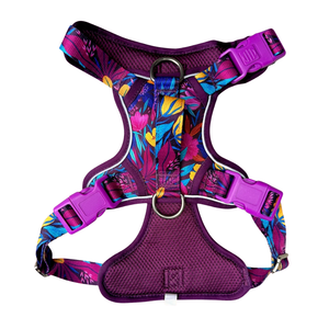 <span class=keywords><strong>Harness</strong></span> Anjing Anti Tarik Tahan Lama dengan Reflektor, Model Step-In untuk Kenyamanan & Kontrol Maksimal - Product Image 2