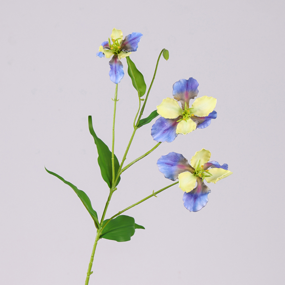 Bleu