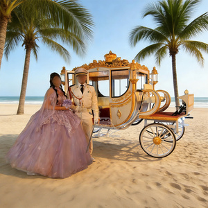 La carreta de caballos eléctrica favorita de los estadounidenses para visitar sitios turísticos al aire libre. - Product Image 6