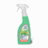 Itidet DeCal-FL 12 X 750 ml Détergent écologique prêt à l'emploi pour détartrer, éliminer et prévenir la formation de tartre, fabriqué en Italie