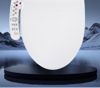 Couvercle de toilette intelligent à chauffage instantané, lavage et séchage, en acier inoxydable, autonettoyant, désodorisation automatique, toilette sur pied