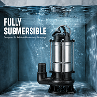Pompe submersible à broyeur de déchets 220V pour fosse septique, drainage des boues et eaux usées, petite pompe à eaux usées domestique