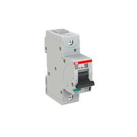 Disjoncteur miniature haute performance de type B 2CCG001215R0001, 1 pôle, pouvoir de coupure 36 kA, 100 A, 690 V CA, série S800N 125 V