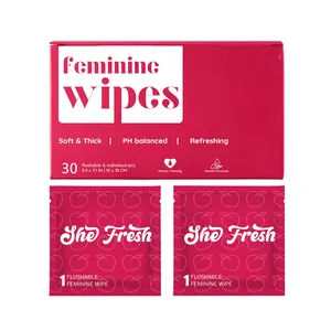 Custom Logo And Box Individually Hygiene Wipes For Female Flushable Wipes Low MOQ Personal Cleansing Intimate Wipes