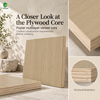 Contreplaqué recouvert de placage en chêne clair naturel Jinbase W-XM-206, qualité E0, 1220x2440mm, placage préfini, base en pin de 6 pouces.