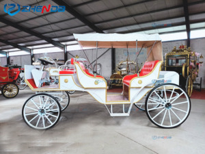 Carruajes de Caballos Blancos de Lujo para Bodas y Turismo, Carruajes de Caballos de Alta Calidad para Lugares Turísticos en Venta - Product Image 5