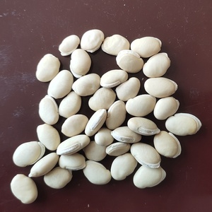 Semillas <span class=keywords><strong>de</strong></span> Judías <span class=keywords><strong>de</strong></span> Jacinto Tipo YAO BIAN DOU Chinas, Lentejas Partidas, Lentejas Blancas Ovaladas Secas - Product Image 4