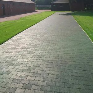 Anika กระเบื้องพื้นยางกันลื่นสำหรับสุนัขกันลื่นสำหรับสวนและบ้านสุนัข - Product Image 4