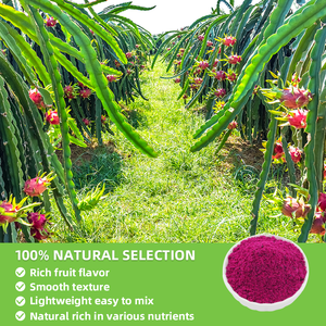 UE & NOP Orgânica Certificada Private Label Liofilizado <span class=keywords><strong>Red</strong></span> <span class=keywords><strong>Pitaya</strong></span> Em Pó <span class=keywords><strong>Red</strong></span> Dragon Fruit Pó - Product Image 4