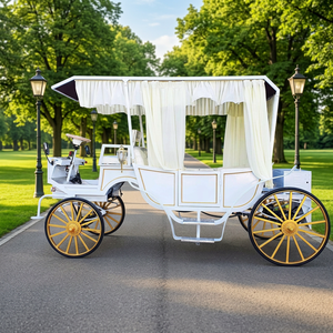 Calèche Électrique de Haute Qualité pour Visites Touristiques, Mariages et Transport Spécialisé - Product Image 1