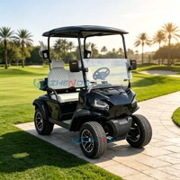 Vente en gros de nouvelle voiturette de golf électrique à deux places, à traction avant, homologuée pour la route, personnalisée, tout-terrain