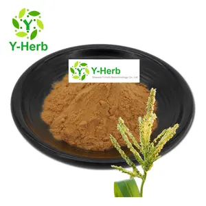 Factory Price 100% Watersoluble Bulk Zea Mays Flower Powder 10:1 Yu Mi Hua/Maize/Zea Mays Flower Extract