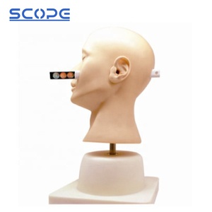 Modèle avancé de formation de Diagnostic d'oreille SC--LV41 de mannequin clinique de mannequin d'enseignement médical - Product Image 5