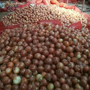 Verduras Frescas chinas, precio barato, cebollas amarillas frescas, Exportación al mercado australiano - Product Image 3