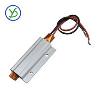 12V 24V 36V 48V 110V 220V एसी/डीसी 60*28mm प्लेट हीटर सिरेमिक हीटिंग तत्व गर्मी रोकनेवाला प्लेट एल्यूमीनियम