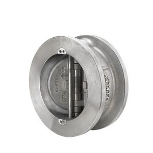COVNA Envío Rápido DN150 6 Pulgadas PN16 Tipo Brida Acero Inoxidable 316 Válvula de Retención de Disco Inclinable - Product Image 2