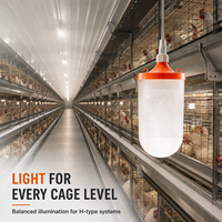 Éclairage LED pour cages à volailles 10W 48V DC IP67 sans scintillement et dimmable pour élevages de poulets de chair, de poules pondeuses, de reproducteurs et de canards