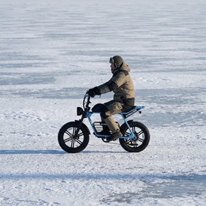 Vélo électrique tout-terrain résistant aux crevaisons avec batterie au lithium 16Ah, vélo électrique robuste pour l'exploration hivernale sur la neige - Product Image 2
