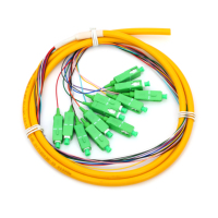 Customized Simplex OS2 Single Mode UPC 12 Core Fiber Optic Pigtail High Quality Simplex OS2 Single Mode Sc Upc 12 Fiber Optic