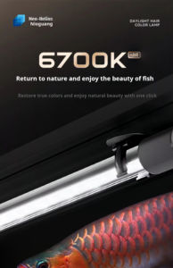 현대 친환경 LED 수족관 조명 녹색 빨간색 해양 조명 물 사용 물고기 탱크 수족관 액세서리 청소 도구 - Product Image 6