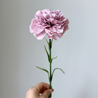 Fleur artificielle réaliste au toucher naturel, arrangement de haute qualité pour la fête des mères, décoration de la maison et de mariage