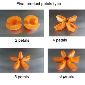 Prix de la machine à dénoyauter les prunes/Machine à stoner les abricots - Product Image 4