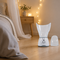 Humidificador de vapor Facial para el cuidado Personal, vaporizador de belleza Facial, humidificador de vapor Facial, Humidificador hidratante para Spa