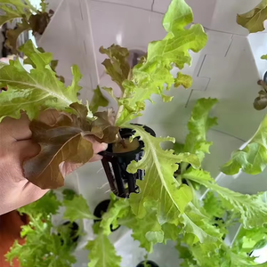 Tour d'ananas serre à haute efficacité système de culture complet jardin aéroponique grandir tour hydroponique verticale avec lumière LED - Product Image 4