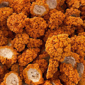 <span class=keywords><strong>Champignons</strong></span> Golden Ear en bois de tilleul, spécialité du Yunnan, provenant des montagnes profondes, jaunes, lyophilisés/séchés, 1 kg, produits agricoles comestibles - Product Image 3