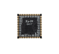 Module à spectre étalé sans fil Ra-09 LoRa WAN avec puce STM32WLE5CCU6 Gamme de fréquences 410-525 MHz