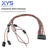 Harnais de câblage industriel personnalisé, assemblage de câbles électriques pour l'automobile, la moto, les machines industrielles - CE pour IP44