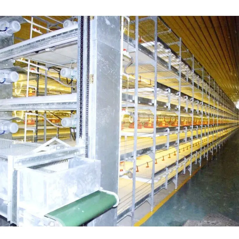 Automatic Bird Harvesting Ready Sale Made Broiler Cage Chicken cages in Philippines for Poultry Broiler Farm
