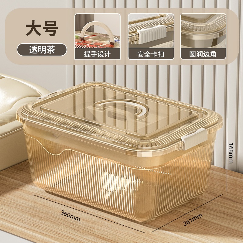 Large Tea-Style [Transparent with Visible Dividers]