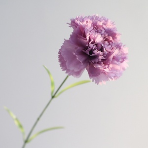 Grand <span class=keywords><strong>bouquet</strong></span> de faux œillets en tissu de soie pour la fête des mères, décoration de gâteaux, vente en gros - Product Image 1