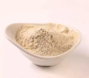 Chinese Supplier Horseradish Powder Dalian Horseradish Horseradish Extract Powder