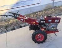 Petit motoculteur miniature, machine agricole à chenilles, moteur diesel refroidi à l'eau 180E/9HP, tracteur à deux roues à marche manuelle, prix Ouganda