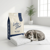 Vente en gros usine, personnalisé OEM ODM, tapis d'apprentissage jetables pour chiots et animaux de compagnie, ultra-absorbants, différentes tailles