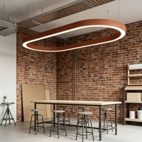 Suspension LED ovale courbée en aluminium brossé bronze architectural sans joint pour bureau de direction en verre