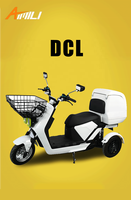 Tricycle électrique à trois roues de haute qualité avec grand panier, moteurs à double moyeu de 1000 W, avec grand coffre arrière