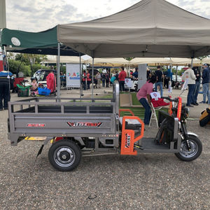 2025 3 ruedas motocicleta eléctrica coche 45 km/h <span class=keywords><strong>Moto</strong></span> coche <span class=keywords><strong>lateral</strong></span> para adultos 60V uso de pasajeros <span class=keywords><strong>Triciclo</strong></span> de carga motorizado - Product Image 4