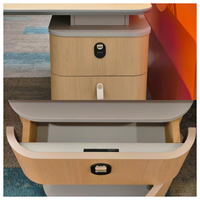 Cloison de bureau modulaire multifonction en bois massif, barrière de poste de travail, couleurs personnalisables, durable