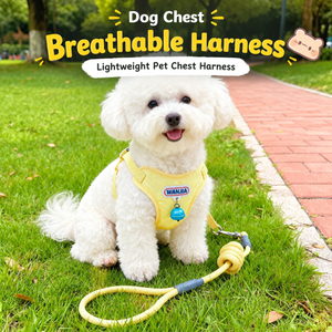 Harnais et laisse pour chien rembourrés et respirants, bleus, avec clochette, pour la promenade en extérieur, pour petits chiots et animaux de compagnie de type Bichon - Product Image 2