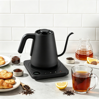Bouilloire électrique 1,0 litre 1200W, chauffe rapide, base tactile, affichage de la température en temps réel, maintien au chaud 30 min, acier inoxydable