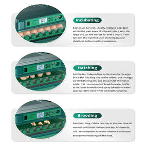 Incubadora Automática <span class=keywords><strong>de</strong></span> <span class=keywords><strong>Huevos</strong></span> a <span class=keywords><strong>Precio</strong></span> Mayorista, Máquina Incubadora <span class=keywords><strong>de</strong></span> <span class=keywords><strong>Huevos</strong></span> <span class=keywords><strong>de</strong></span> Gallina para 64 <span class=keywords><strong>Huevos</strong></span> <span class=keywords><strong>de</strong></span> Gallina y Pavo - Product Image 4