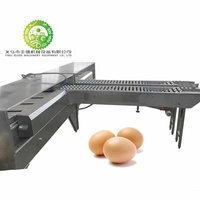 Trieuse automatique pour petits œufs de poule pour l'industrie alimentaire Trieuse du poids des œufs Trieuse des œufs au poids