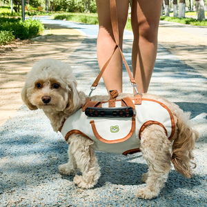 Portable Breathable Dog Harness <b>Backpack</b> For <b>Small</b> Dogs With Leash And Handle Outdoor Walking Gear - Product Image 1