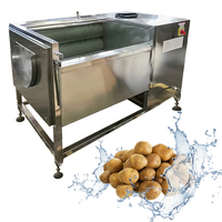 Borstelrolwasmachine voor zeevruchten: schelpjes, garnalen, oesters, aardappel, gember, komkommer, bamboescheuten, yam, ananas