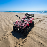 Quad pour enfants avec rotation à 360° °   Véhicule tout-terrain rotatif pour les plages sablonneuses et les prairies