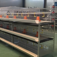 Cage à batterie pour poulets de chair, conception pour l'élevage avicole, haute qualité, galvanisée à chaud, prix usine, économie de main-d'œuvre, Kenya