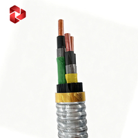 Cable de Alimentación ESP Aislado con Goma para Aplicaciones de Bombas Sumergibles en Campos Petroleros